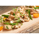 Bauscher Hepp TWB9613