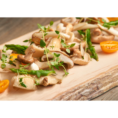 Bauscher Hepp TWB9613