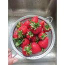 BelleVie, LLC C198872