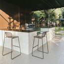 emuamericas, llc 436