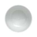 Steelite International 6306P797