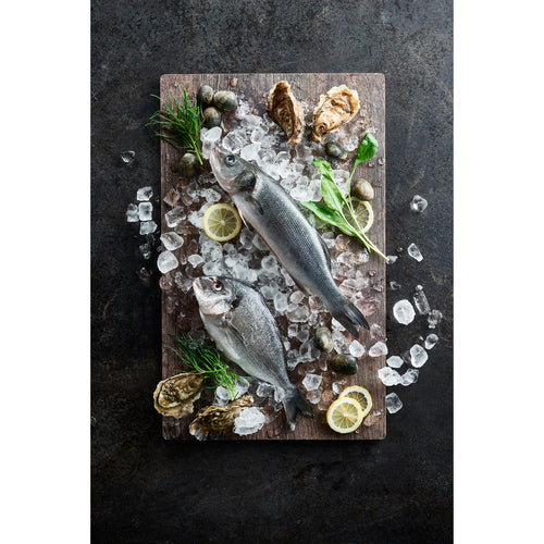 Bauscher Hepp TRW9913