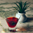 Hospitality Brands HGRGS240-024