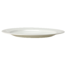 Steelite International 9102C400