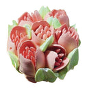 Rosenthal Sambonet Paderno A197574