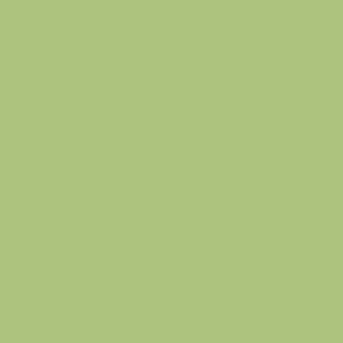 TableCraft, Professional Bakeware CWTTDG01MM