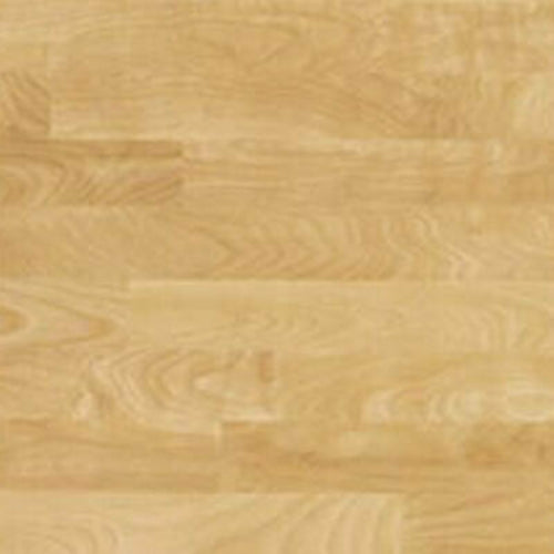 SICO DLP24B-2024
