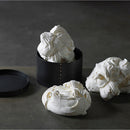 Craster Ltd. SH_454_A