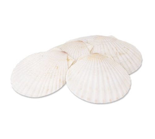 Alegacy Foodservice Products 664