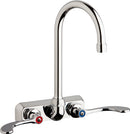 Chicago Faucets W4W-GN2AE35-317AB