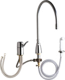 picture of Chicago Faucets 2304-GN10ASWGE35AB