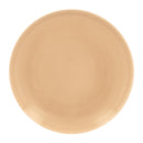 picture of RAK Porcelain USA VNNNPR21BG