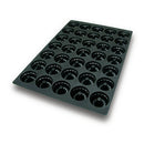 Louis Tellier US SQ049