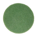 Bissell Big Green Commercial 437.056BG