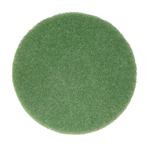 Bissell Big Green Commercial 437.056BG