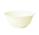 picture of RAK Porcelain USA BASP31
