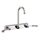 picture of Chicago Faucets W8W-GN1AE1-317ABCP