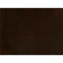 picture of Risch PLACEMATDX-LTH