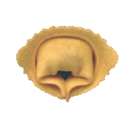 Arcobaleno Pasta Equipment MOLD-CAP-A1A