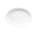 Elite Global Solutions B913OV-W