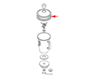 FMP 176-1131