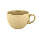 picture of RAK Porcelain USA GN116C23CB