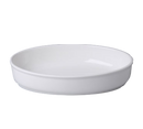 picture of RAK Porcelain USA BUOD25
