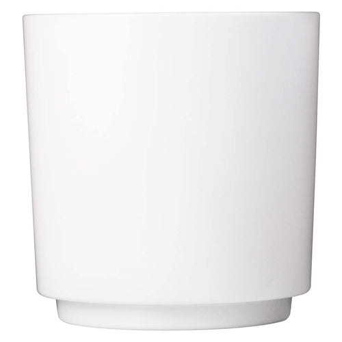 Drinique ELT-RK-WHT-24