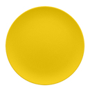 picture of RAK Porcelain USA NFNNPR18CY