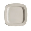 CAC China REC-SQ21