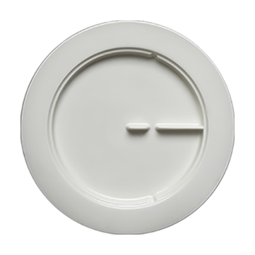 picture of RAK Porcelain USA SSDP23