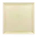 picture of RAK Porcelain USA VNEDSQ30PL