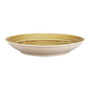 picture of RAK Porcelain USA SGRNNDP23