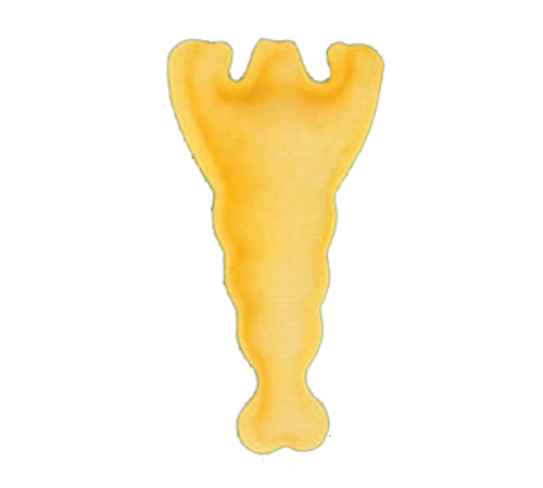 Arcobaleno Pasta Equipment MOLD-AMF-RS-52A
