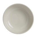 Steelite International A100P169