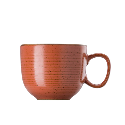 Rosenthal Sambonet Paderno 21730-227074-64767