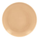 picture of RAK Porcelain USA VNNNPR31BG