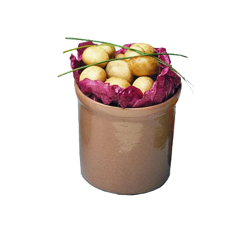picture of Bon Chef 9202TERRA
