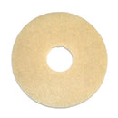 Bissell Big Green Commercial 437.058BG