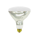 Baselite Corporation 250WCC