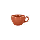 picture of RAK Porcelain USA TW116C23CO
