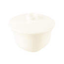 picture of RAK Porcelain USA NNCU17