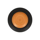 picture of RAK Porcelain USA TRCLDP24BC