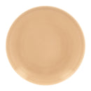 picture of RAK Porcelain USA VNNNPR29BG