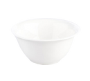picture of RAK Porcelain USA BASP16