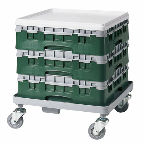 Cambro BR414119