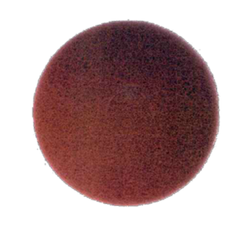 Bissell Big Green Commercial 82007