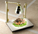 picture of Bon Chef 9697