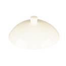 picture of RAK Porcelain USA FDCL02