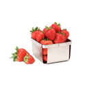 G.E.T. Enterprises 4-80828